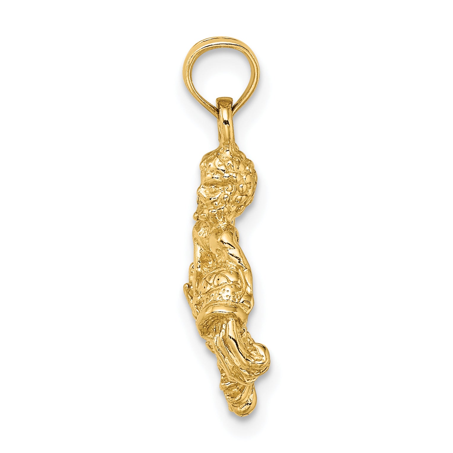 10K 3-D Aquarius Zodiac Pendant Secondary image