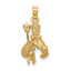 10K 3-D Aquarius Zodiac Pendant
