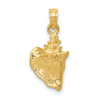 10K None 3-D Conch Shell Charm - view 4