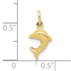 10k Dolphin Charm