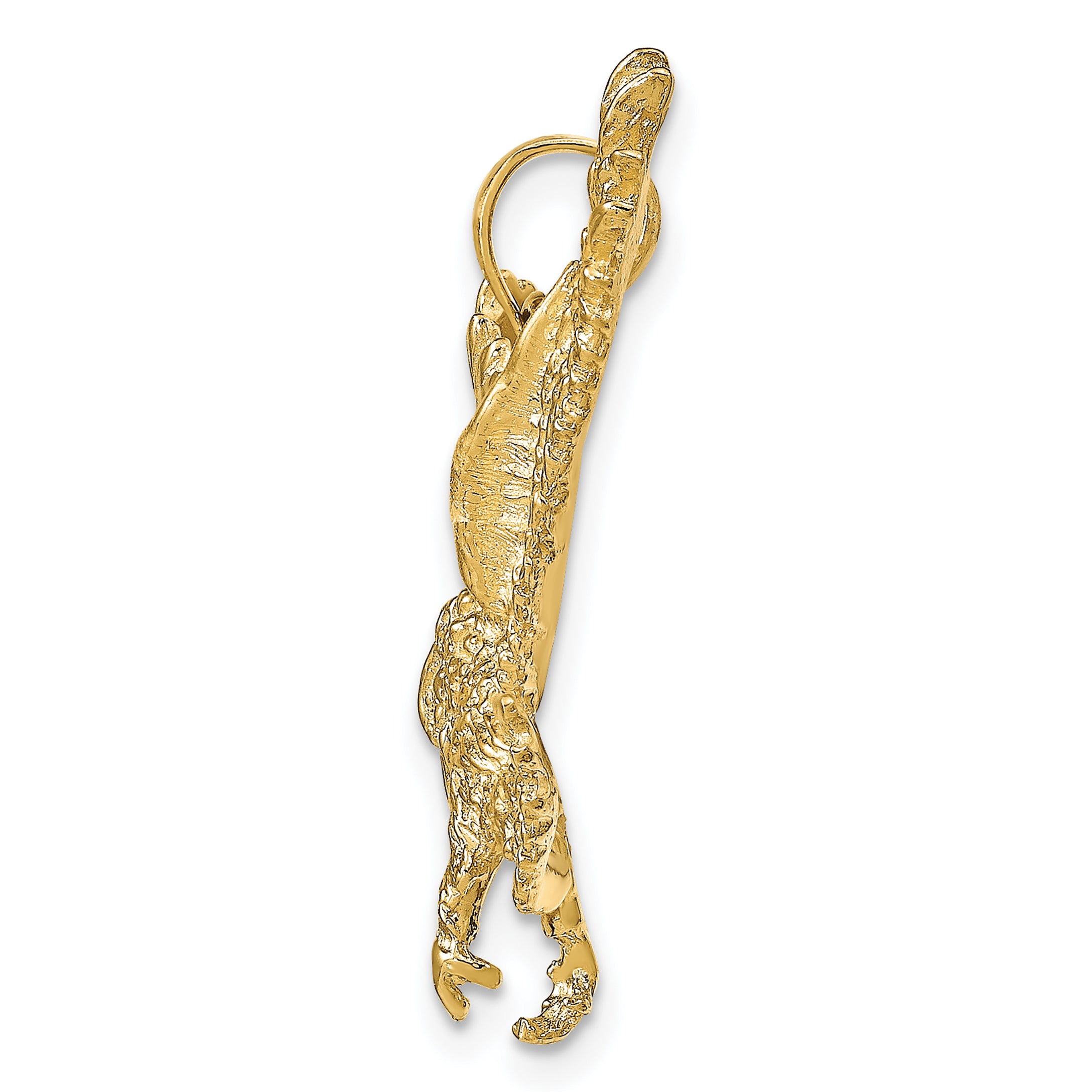 10k Textured Eagle Landing Pendant Secondary image