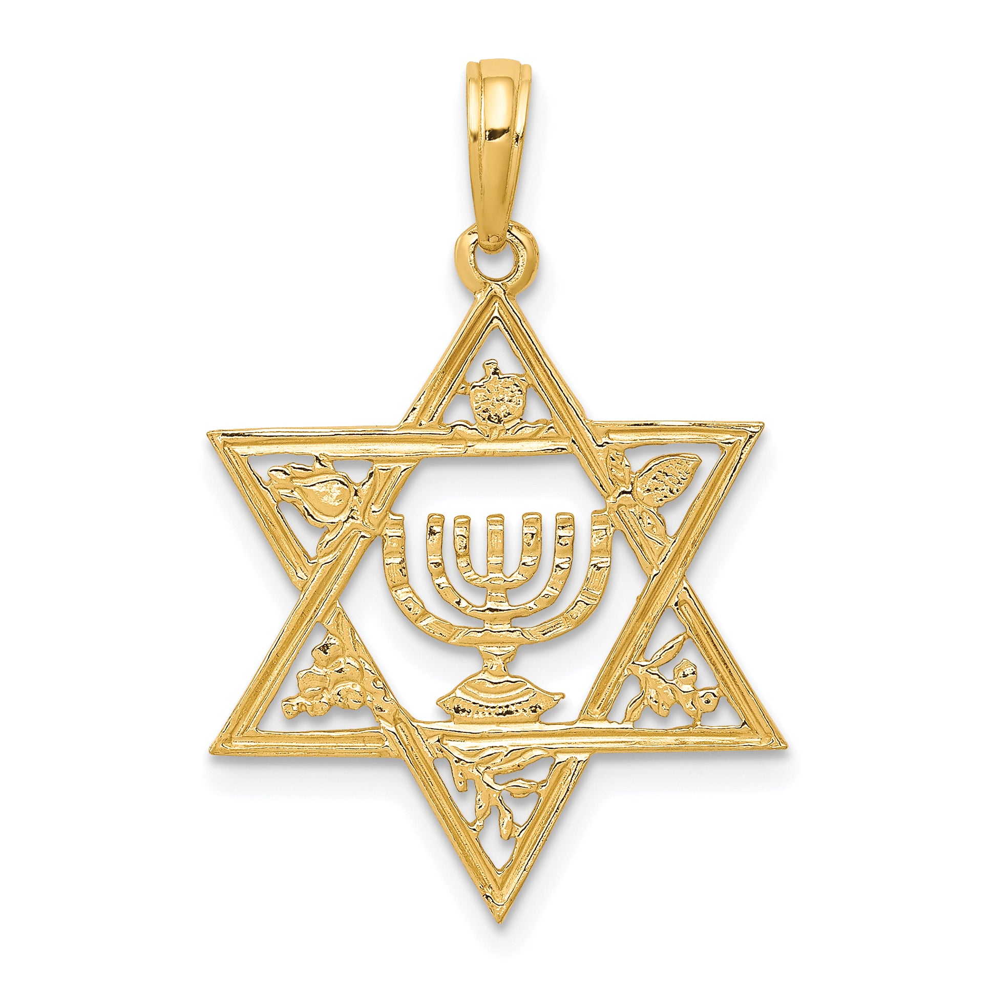 10K Star of David w/Menorah Pendant Main image