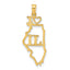 10K Solid Illinois State Pendant