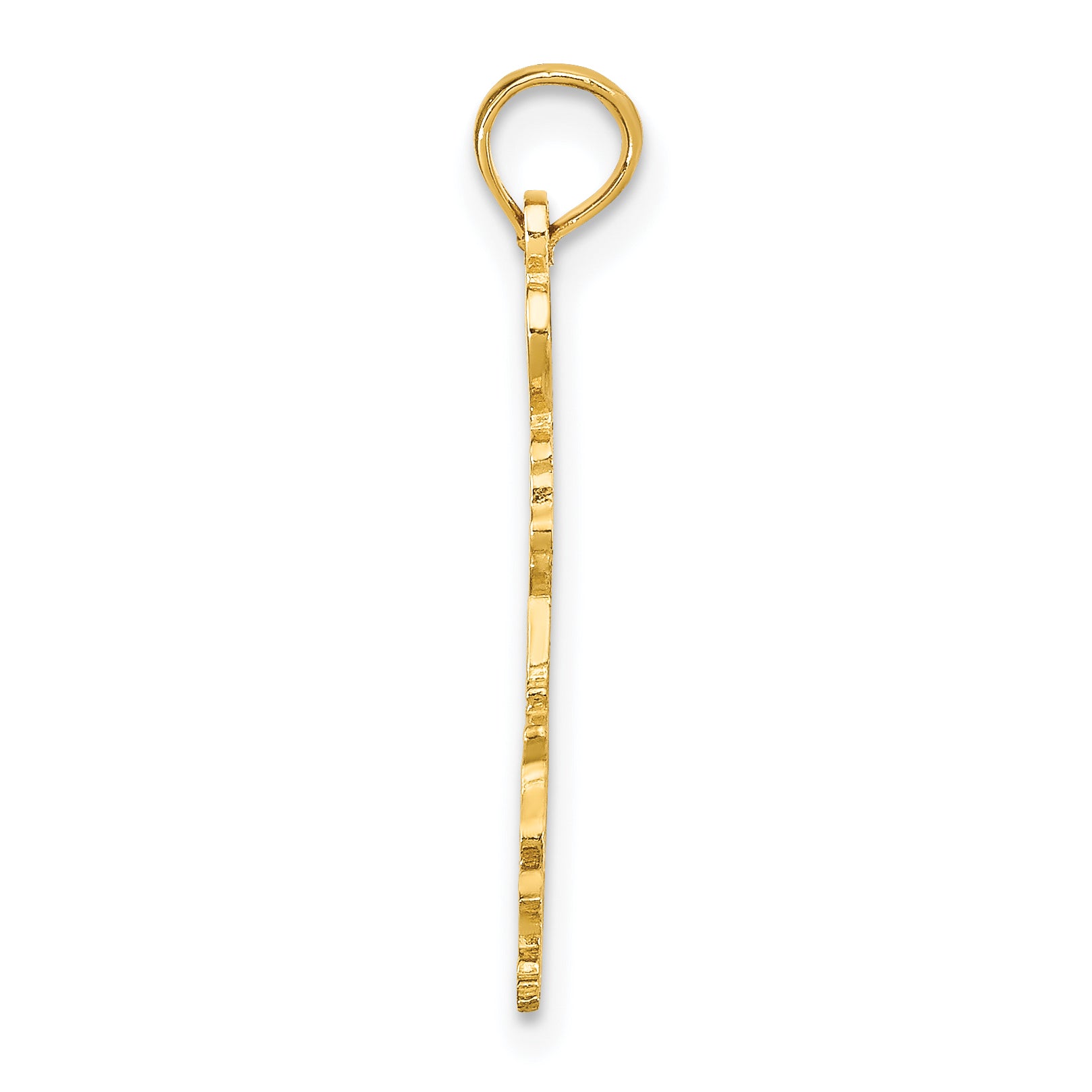 10K Solid Louisiana State Pendant Secondary image