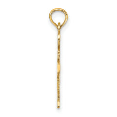 10K Solid Texas State Pendant