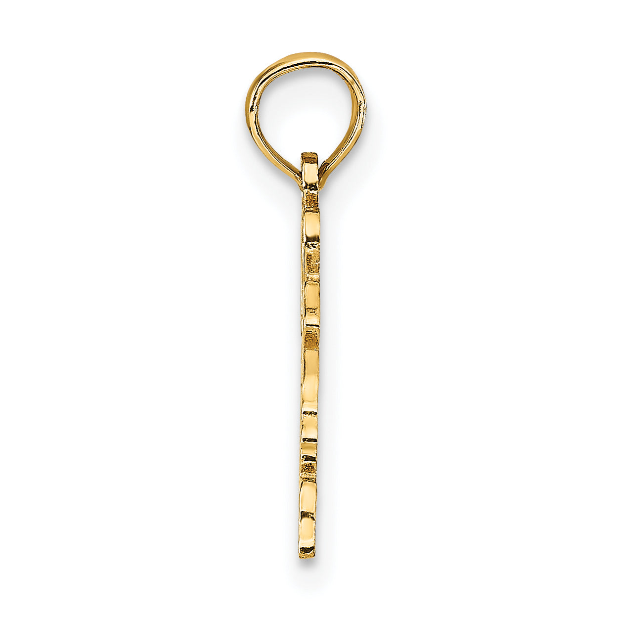 10K Solid Virginia State Pendant Secondary image