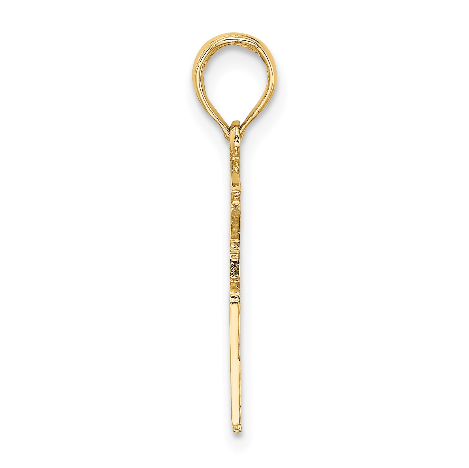 10k Registered Nurse Charm Secondary image
