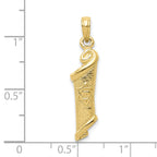 10k Torah w/Star of David Pendant