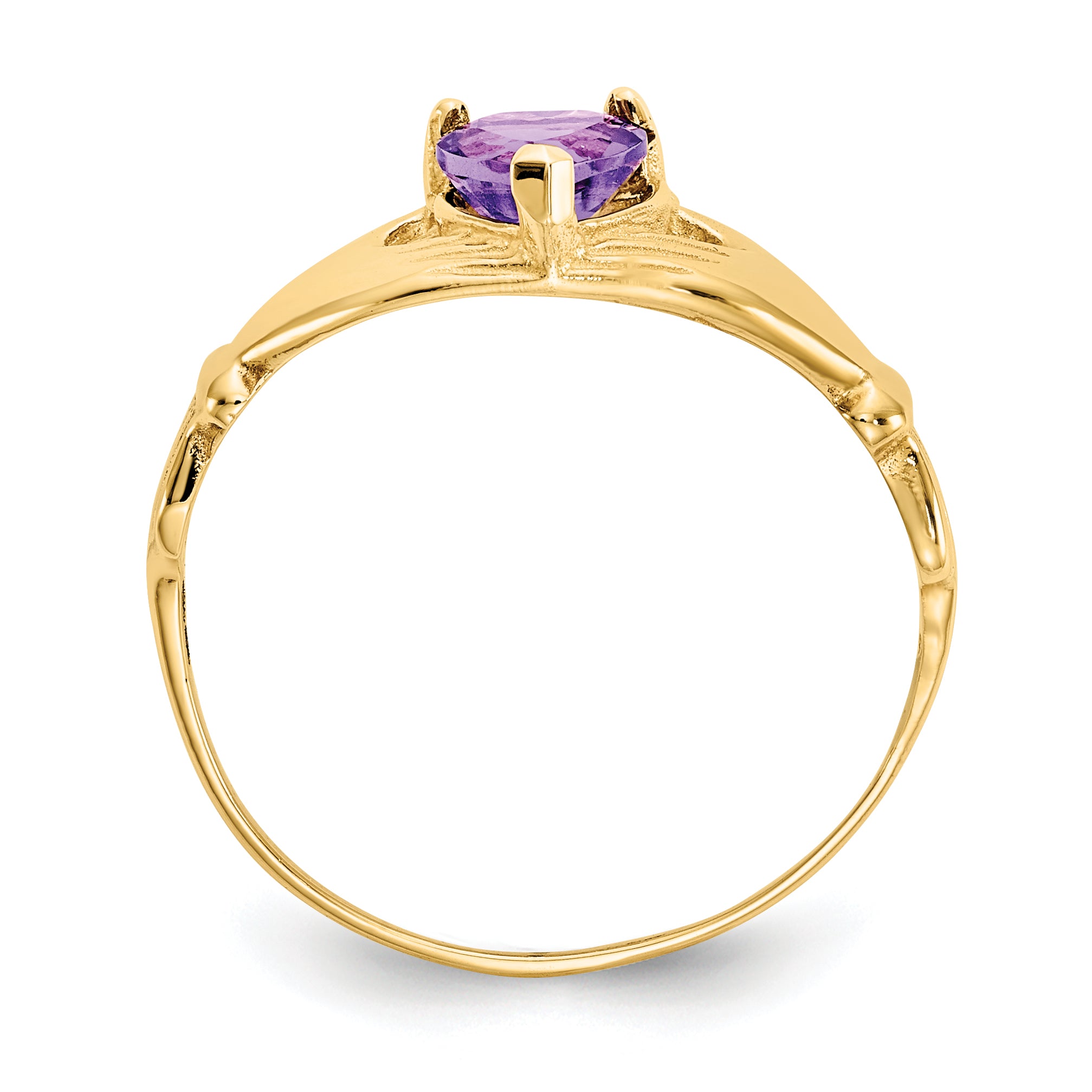 10k CZ February Birthstone Claddagh Heart Ring Secondary image