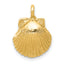 10k Seashell Pendant