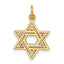 10k Jewish Star Charm
