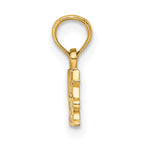 10K None Polished ROCK STAR Charm - view 2