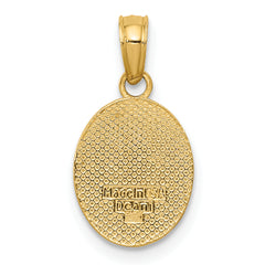 10k Polished Small Fleur De Lis in Oval Pendant