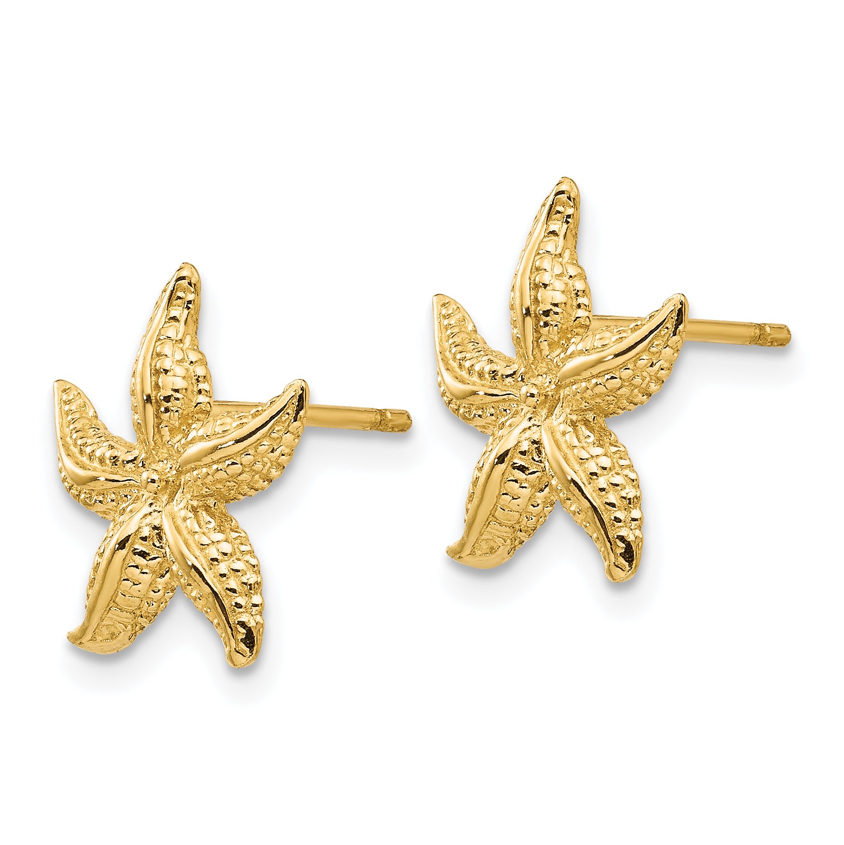 10k Starfish Earrings Secondary image