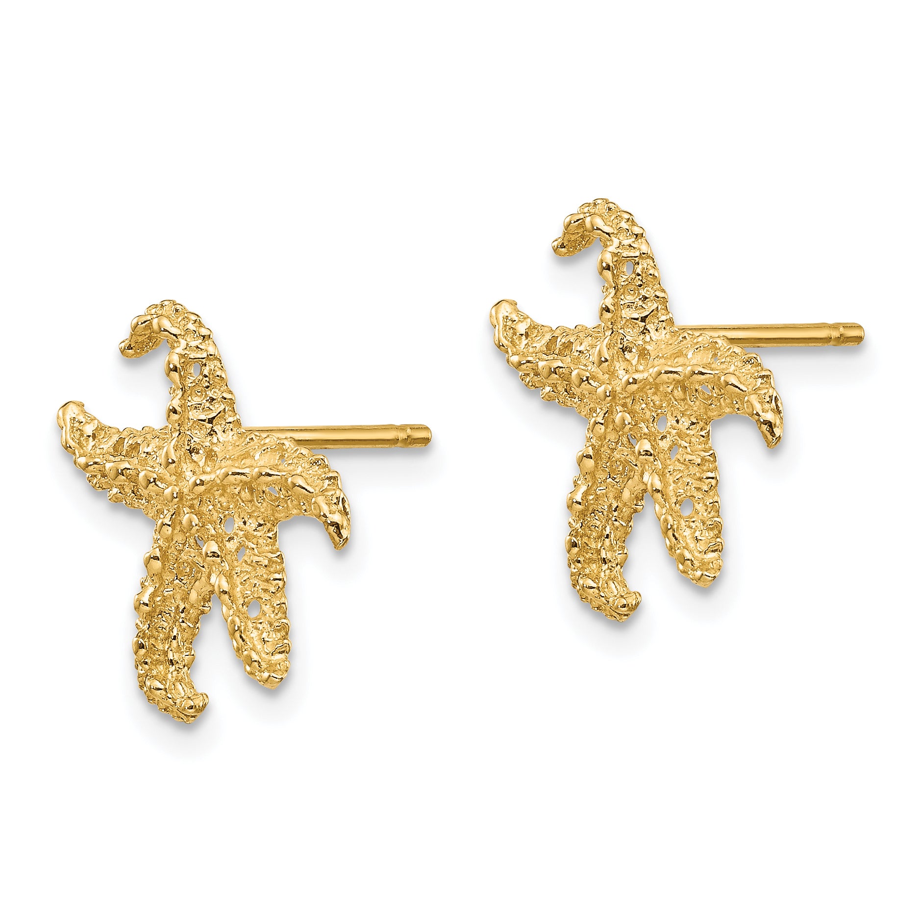 10k Starfish Earrings Secondary image