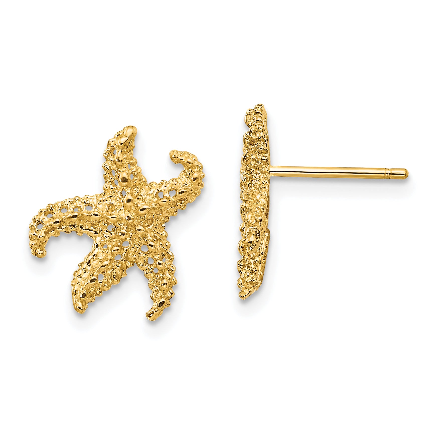 10k Starfish Earrings Main image