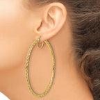 10k Polished and D/C Rope 2.95mm Hoop Earrings