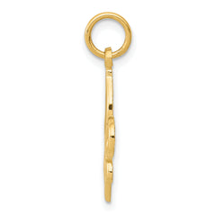 10k Fleur De Lis Charm