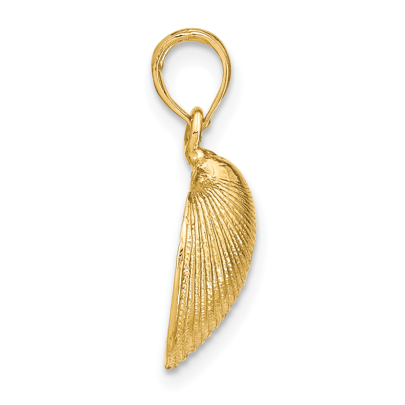 10K Medium Clam Shell Pendant Secondary image