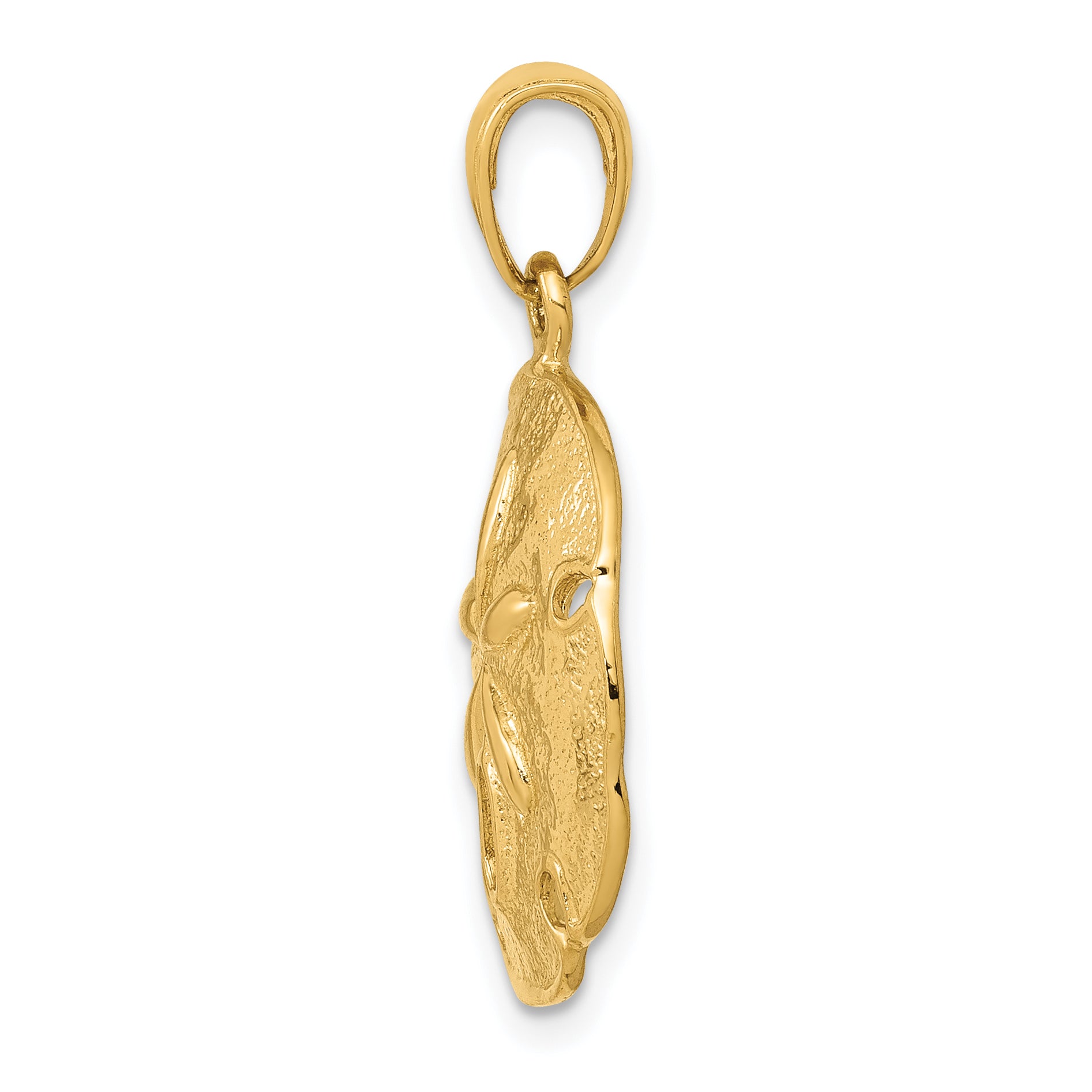 10k Sand Dollar Pendant Secondary image