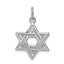 10k White Gold Jewish Star Charm
