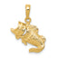 10k Large Mouth Bass Fish Small Charm