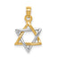 10K Two-Tone Gold Two-tone Polished Star of David Pendant