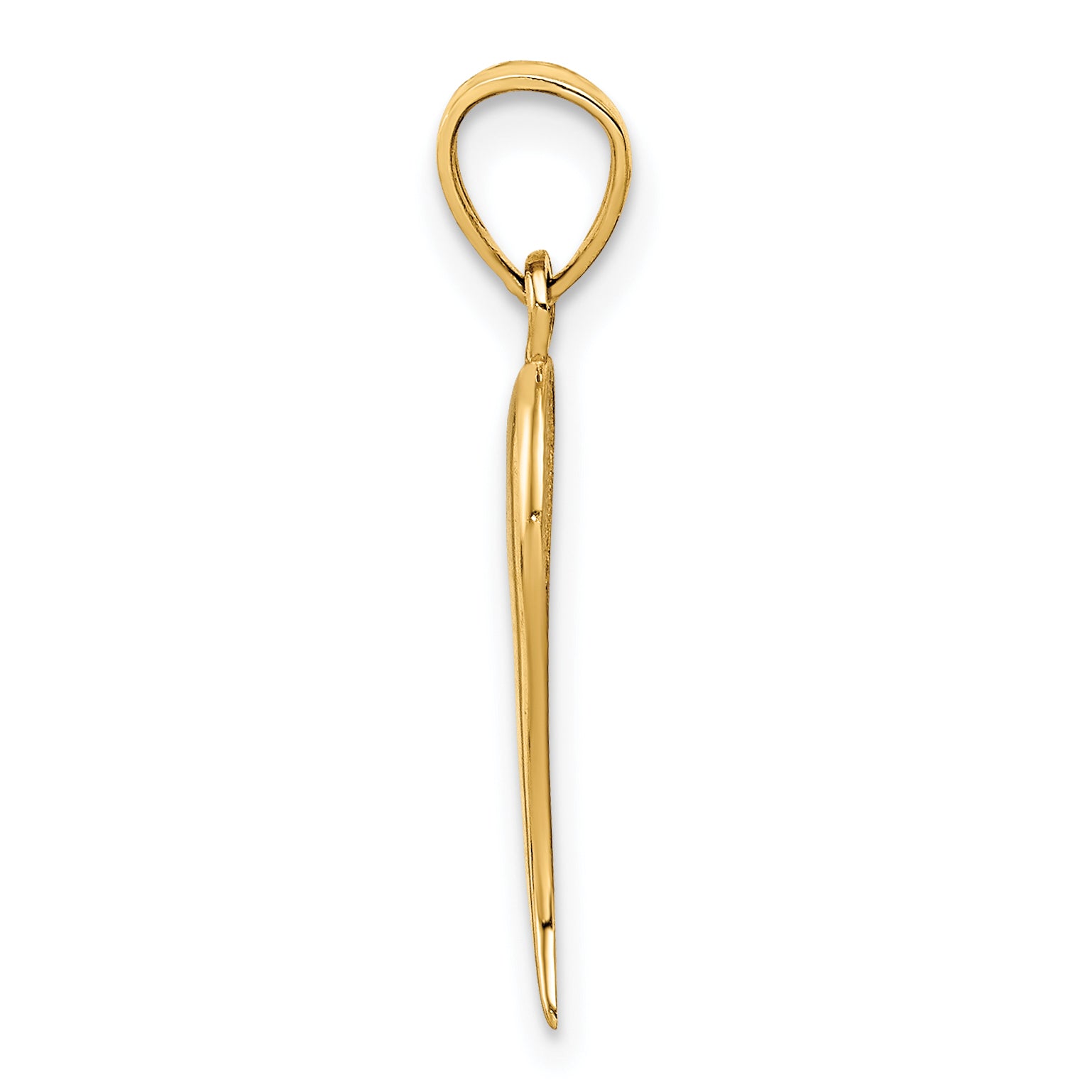 10k Italian Horn Pendant Secondary image