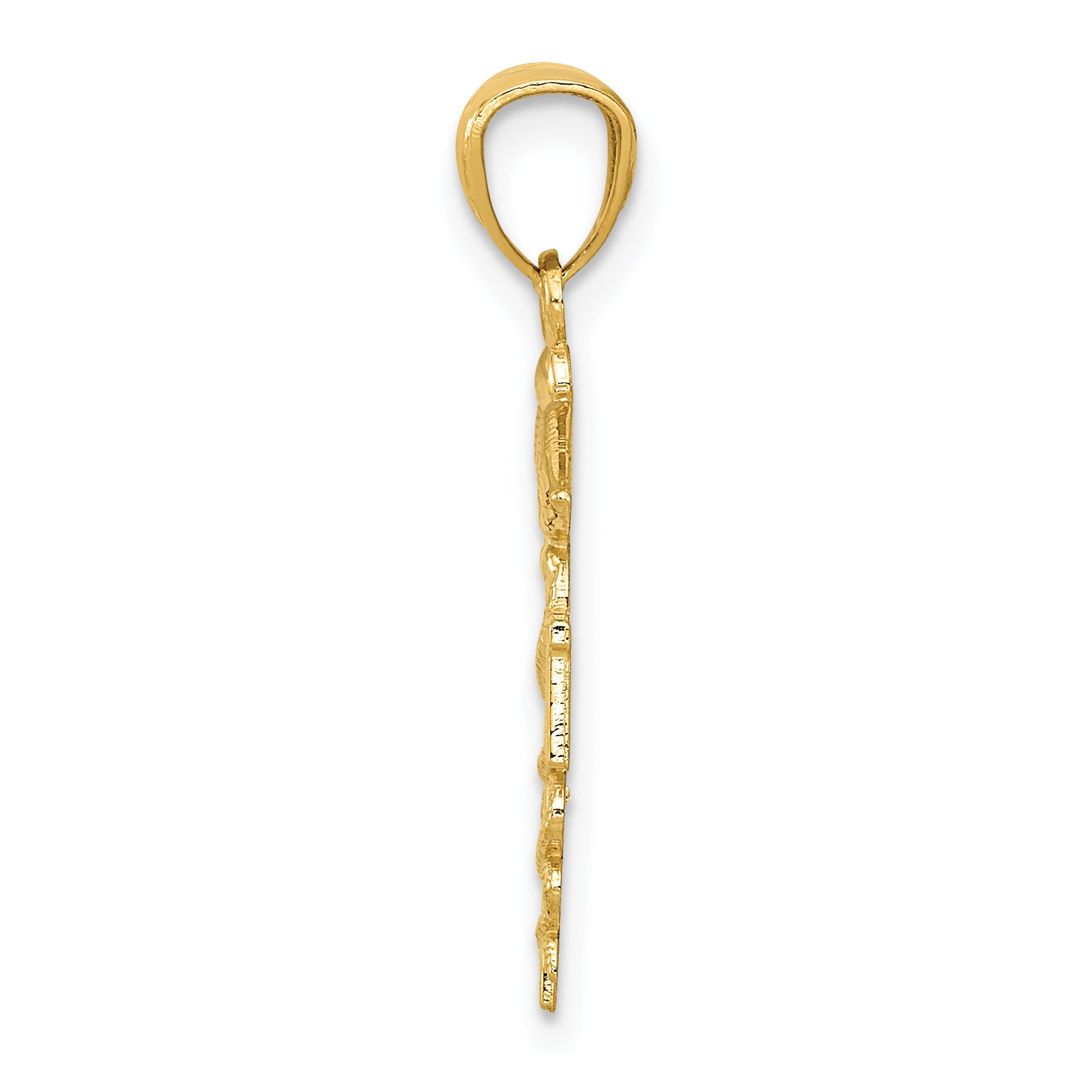 10k Diamond-cut Polished RN Nurse Pendant Secondary image