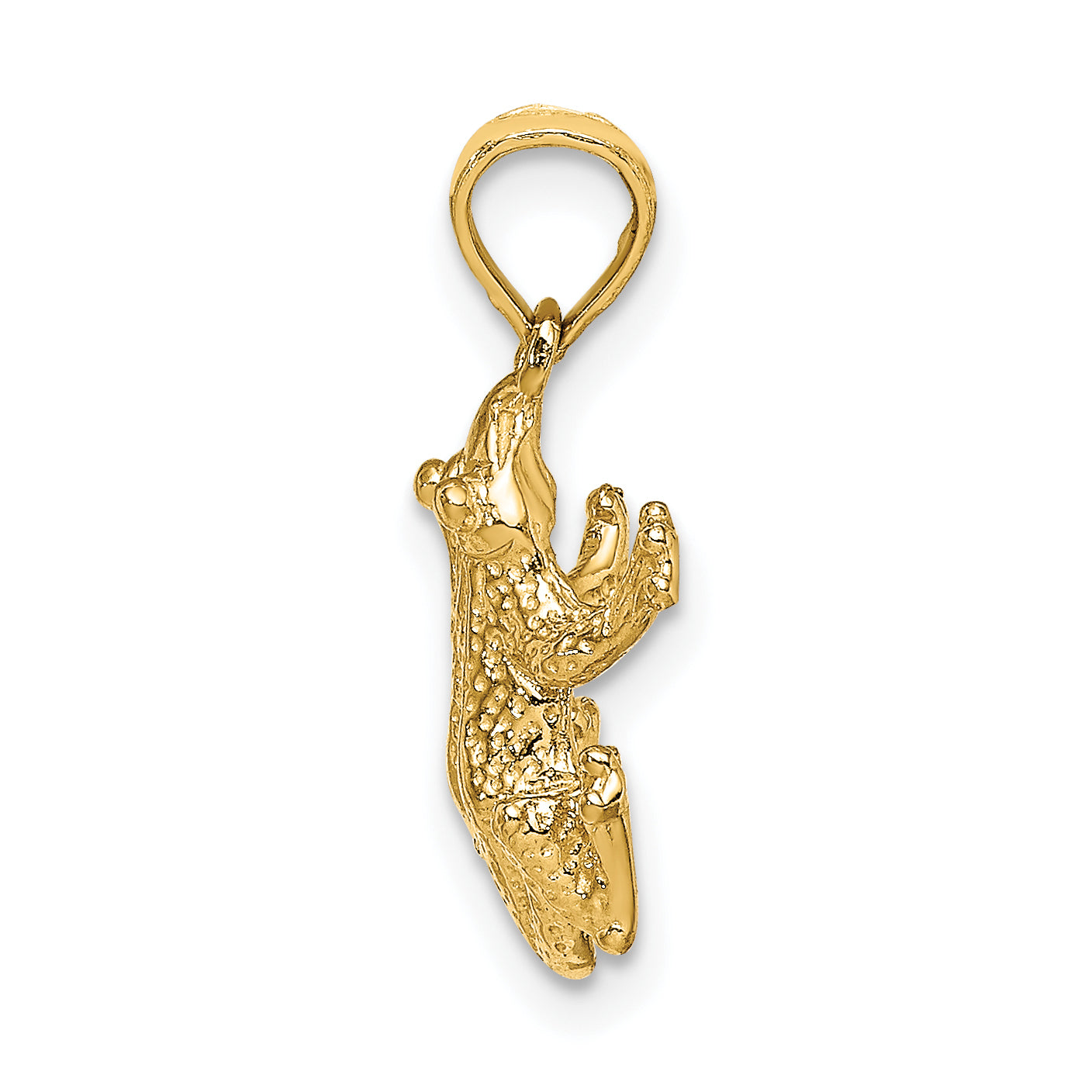 10k Textured Top View FROG Charm Secondary image