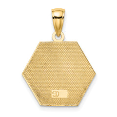 10k Enameled Medical Disc Pendant