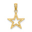 10K None Cut-out Star Charm
