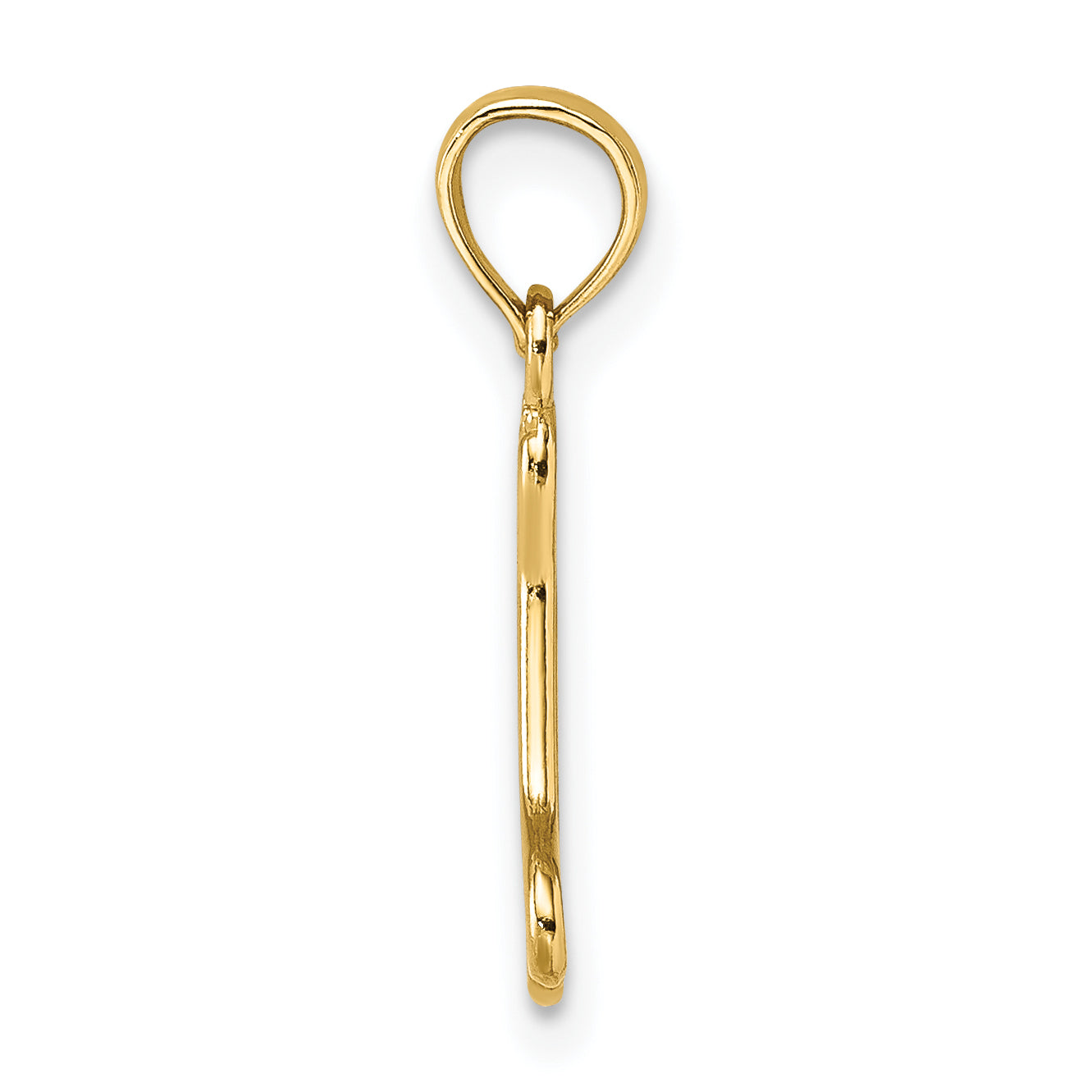10K Cut-Out  Polished Mini Dog Bone Charm Secondary image
