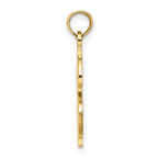 10K Textured Dollar Sign Charm