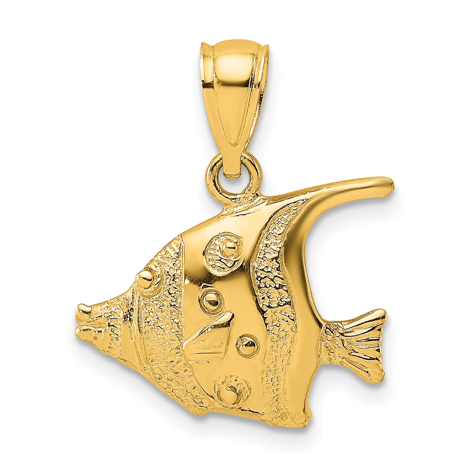 10k Polished Fish Charm Main image