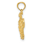 10K 2-D Sea Turtle w/ Spiny Shell Charm