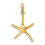 10k Dancing Starfish Charm