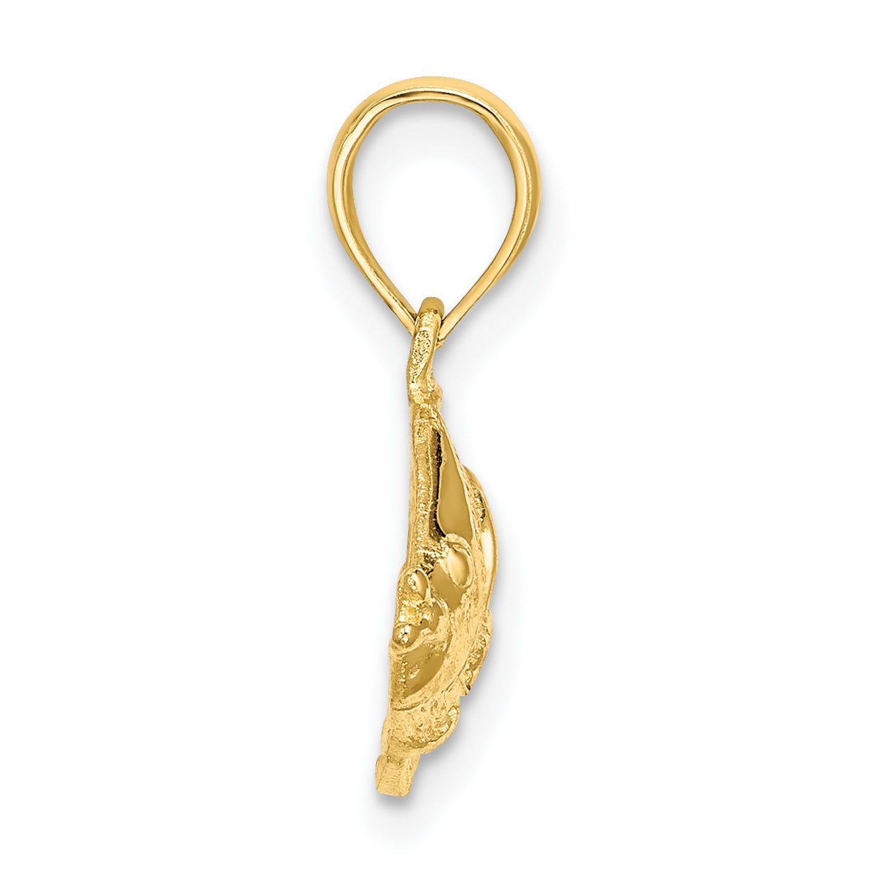 10K Polished Textured Fish Charm Secondary image