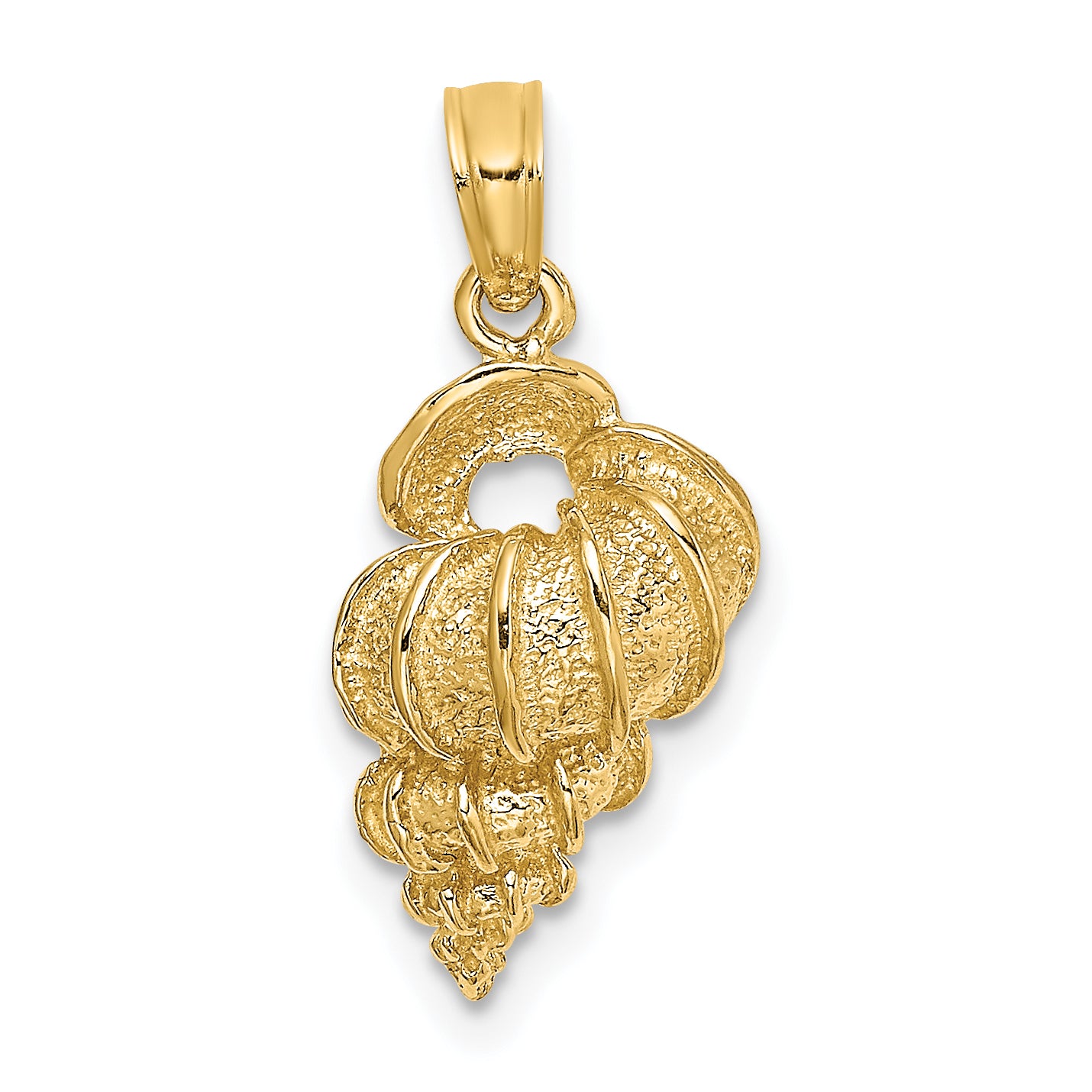 10K 2-D Precious Wentletrap Shell Charm Main image