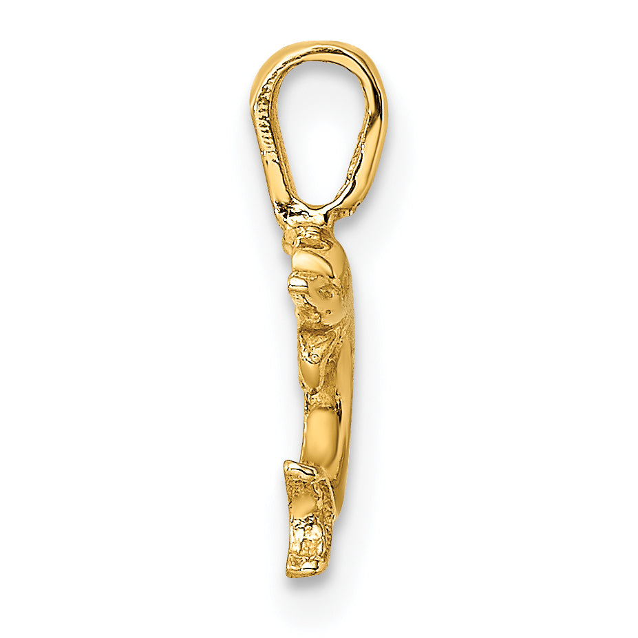 10K Mini Jumping Dolphin w/ Fixed Bail Charm Secondary image