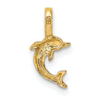 10K Mini Jumping Dolphin w/ Fixed Bail Charm