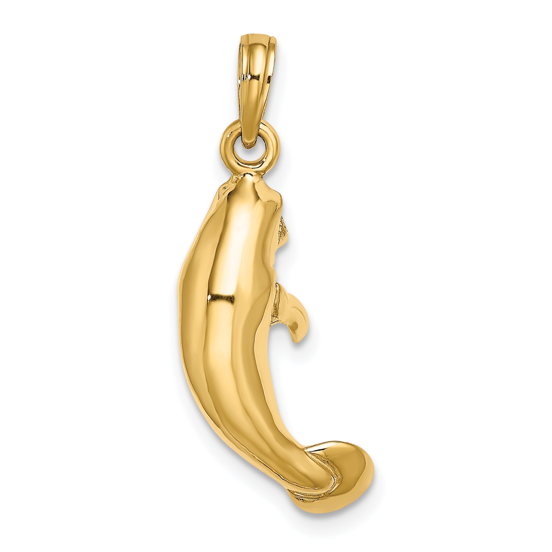 10k 3-D Polished Manatee Charm