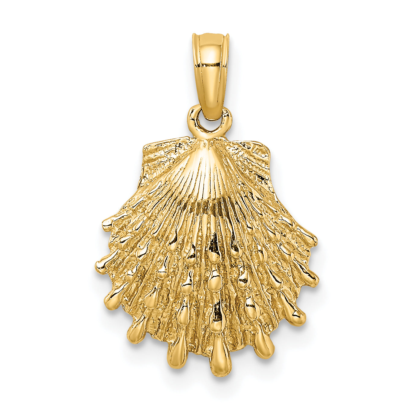 10K Lion's Paw Shell Charm Main image