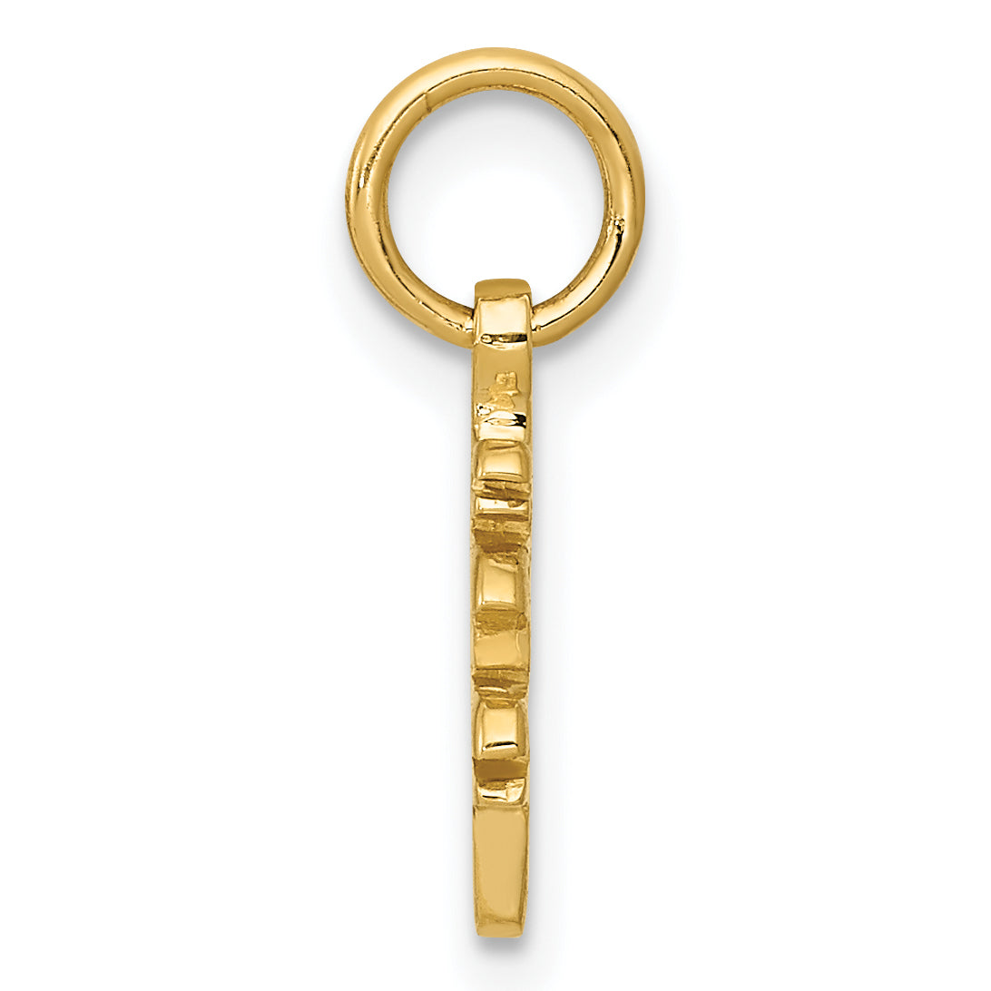 10k Solid Polished Chinese Long Life Charm Secondary image