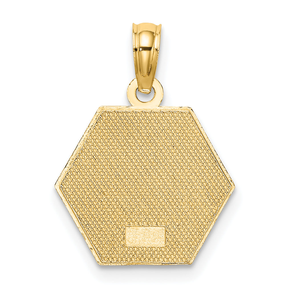 10K None Medical Symbol 16x18mm Hexagon Disc Pendant - view 4