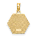 10K None Medical Symbol 16x18mm Hexagon Disc Pendant - view 4