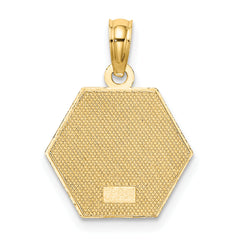 10k Medical Disc Pendant