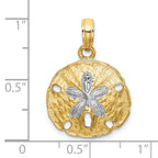 10K None and White Rhodium Polished Cut-out Sand Dollar Charm - view 3