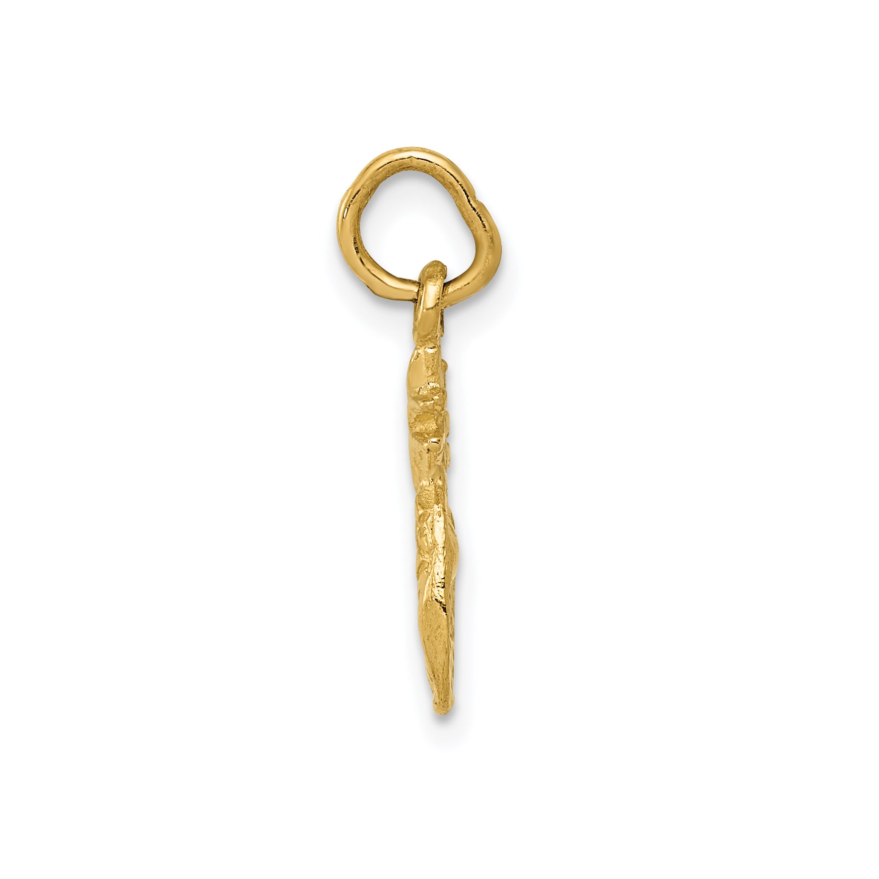 10k Polished Pineapple Charm Secondary image