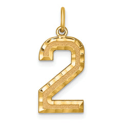 10ky Casted Large Diamond Cut Number 2 Charm